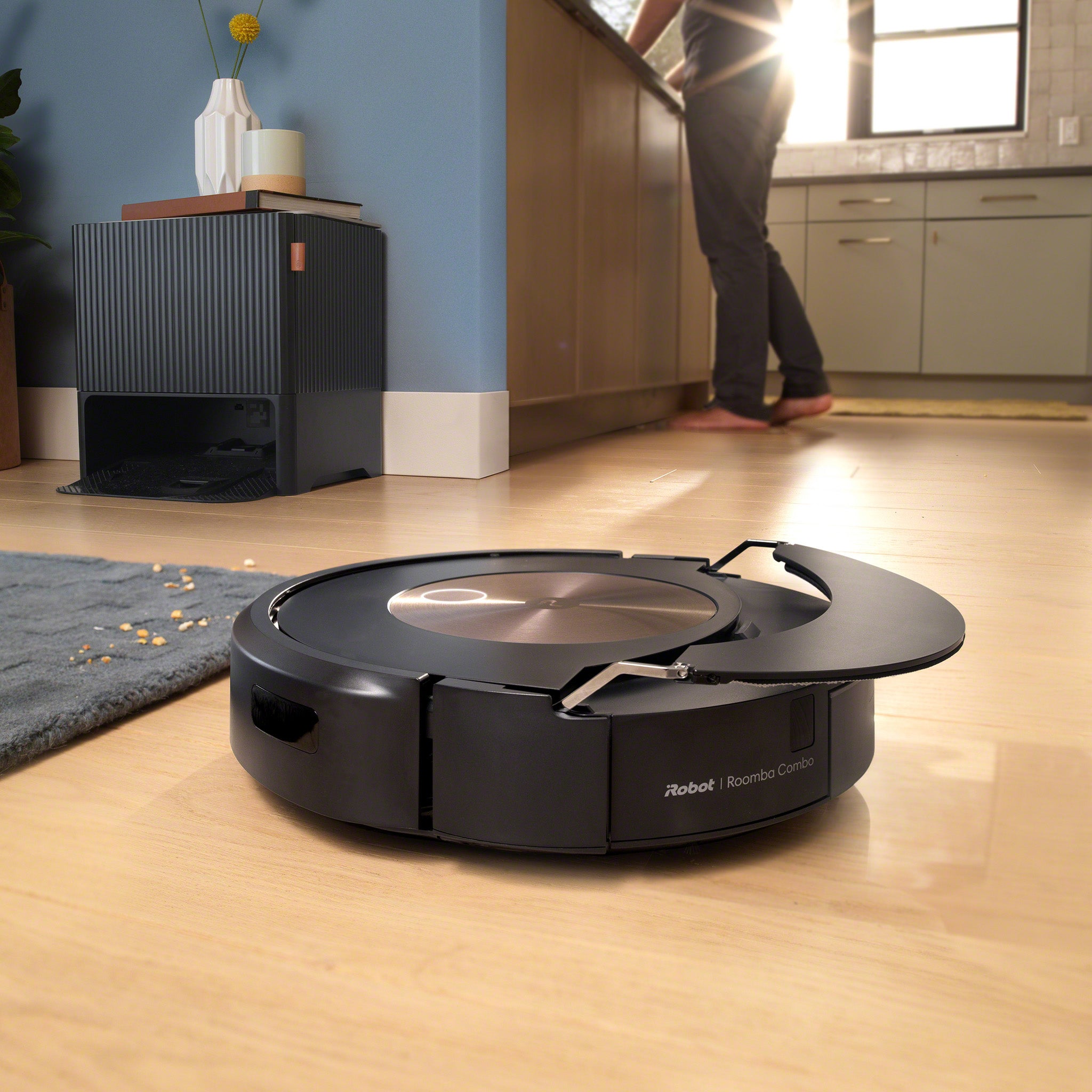 iRobot LV